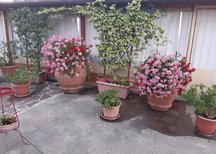 B&B I Coppi San Gimignano